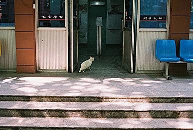 祖龙娱乐《以闪亮之名》Steam页面上线 发售日待定