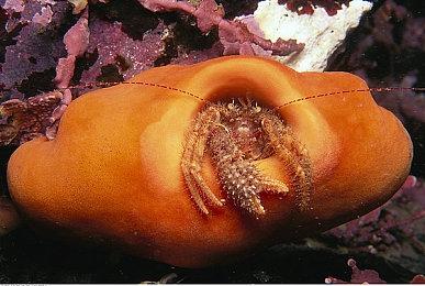 《第一狂战士：卡赞》达到真结局 需要80小时以上