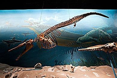 当制作人误入游戏世界，你会帮助勇者还是成为魔王？《昭昭天命》现已正式发售！